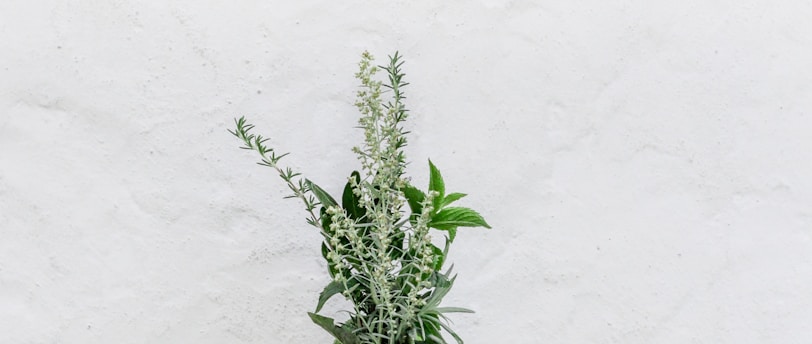 Natural Beauty Remedies for Travel: Eco-Friendly and Effective